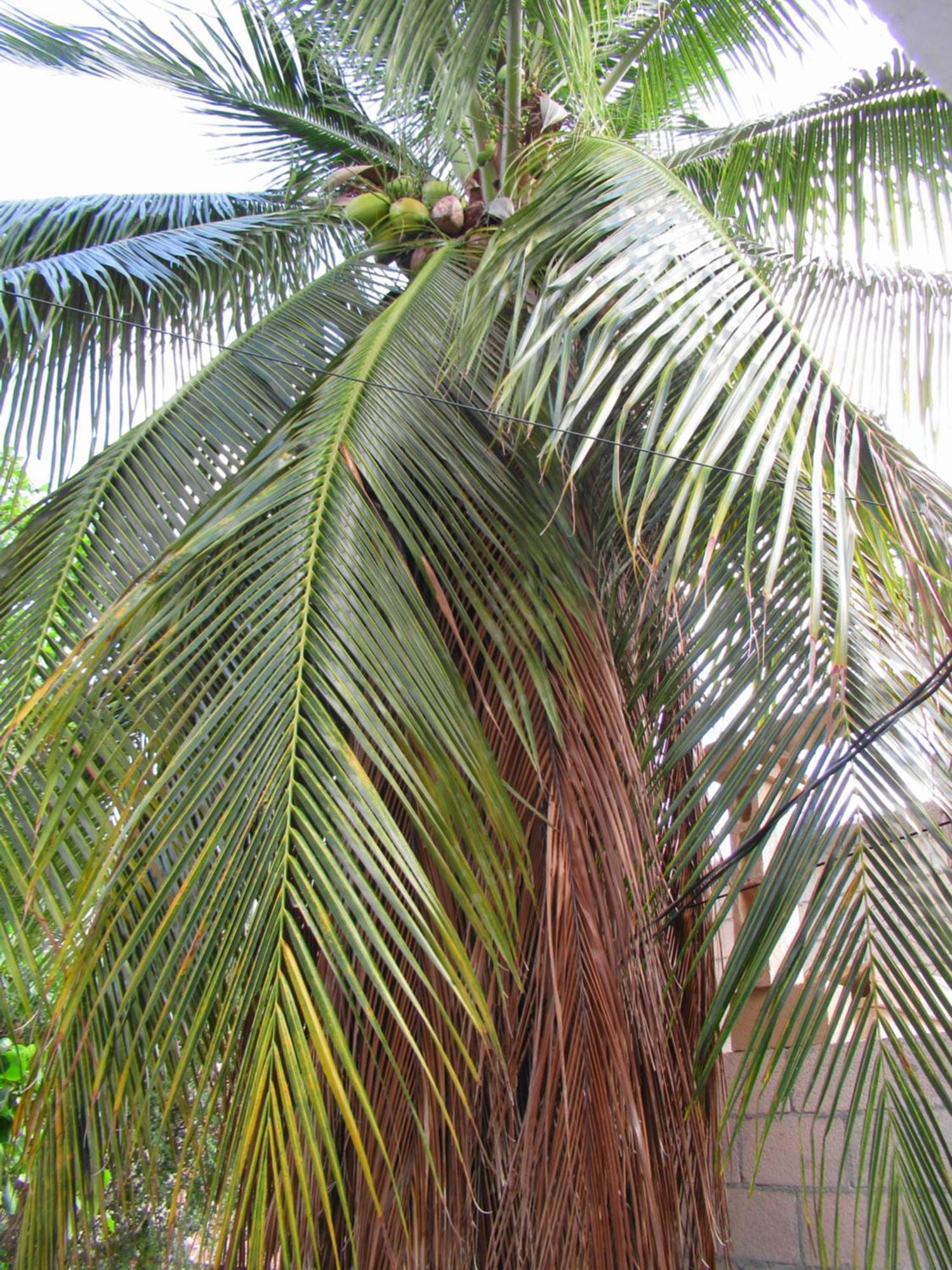 坎昆Cocos公寓 外观 照片